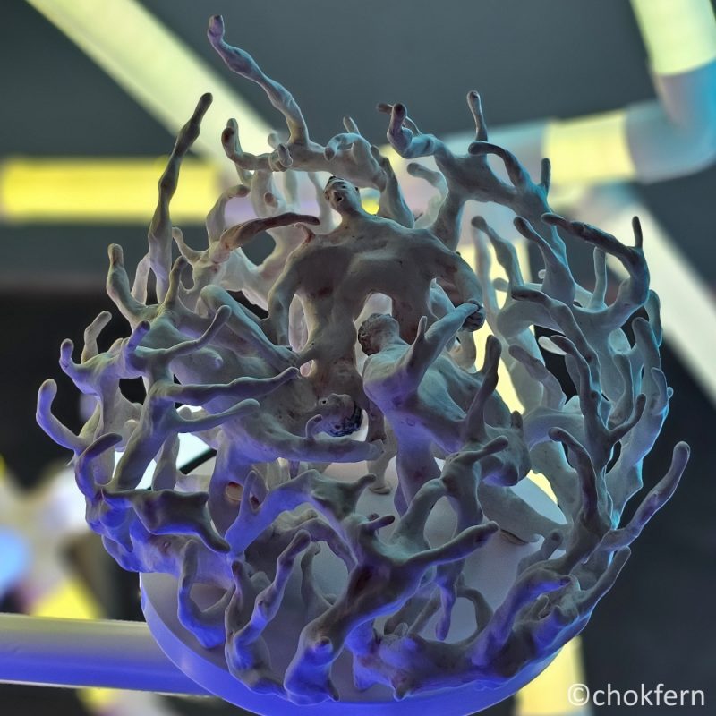 Harmonic Resonance. LOL when one of the attendee thought it's about the 3 artists.